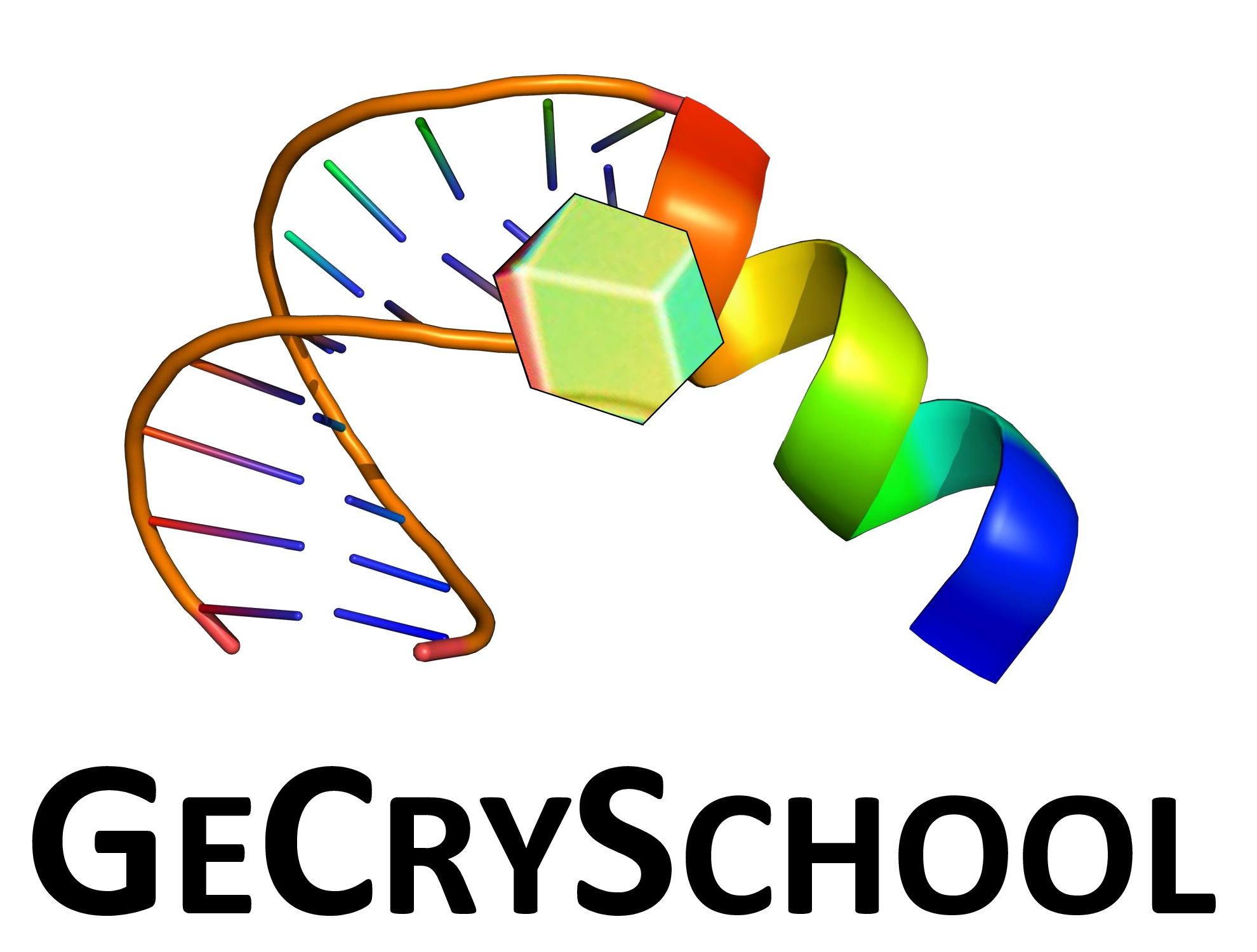 Logo From Gene to Protein Crystal Structure